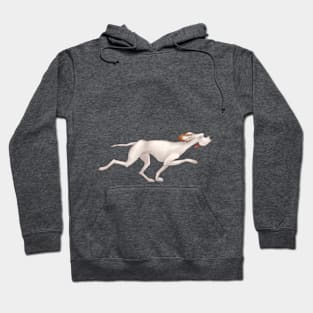 White hound dog is running. Hunting Pointer Hoodie